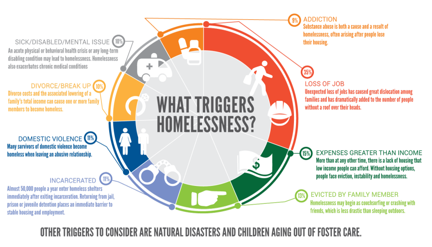 Pie chart showing causes of homelessness.