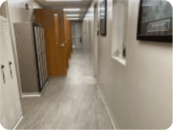 Bright office hallway with doors and lockers.